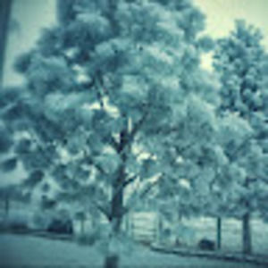 Meet your Posher, Sharell